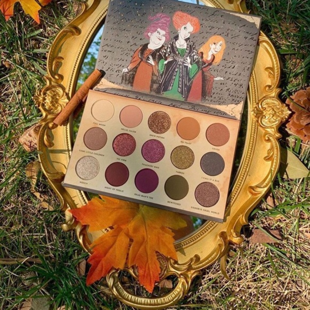 ✨ Hocus Pocus Palette ✨ Limited Edition SOLD OUT